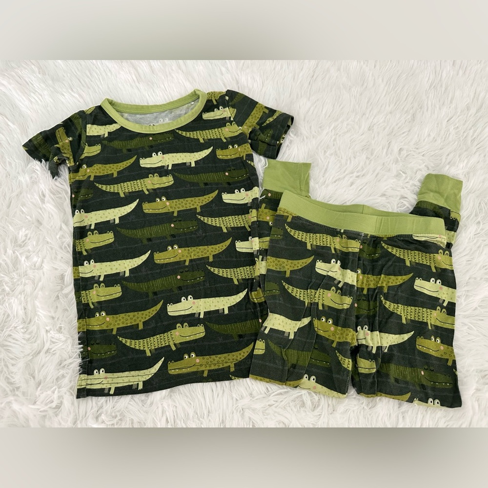 HTF Little‎ Sleepies 2pc Crocodile Croc Pjs Pajamas 18-24m
